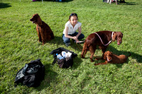 Medzinárodná výstava psov BA 2012