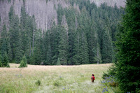 The Meadow in Front of the Cabin